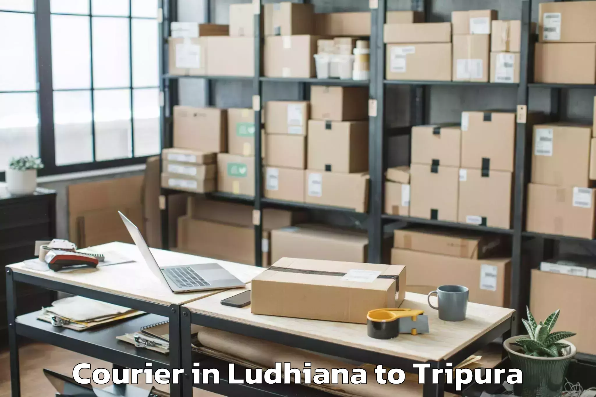 Book Ludhiana to Kailashahar Courier Online